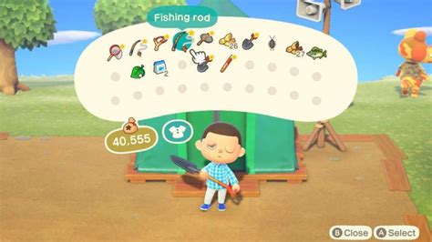 animal crossing inventory space upgrade.